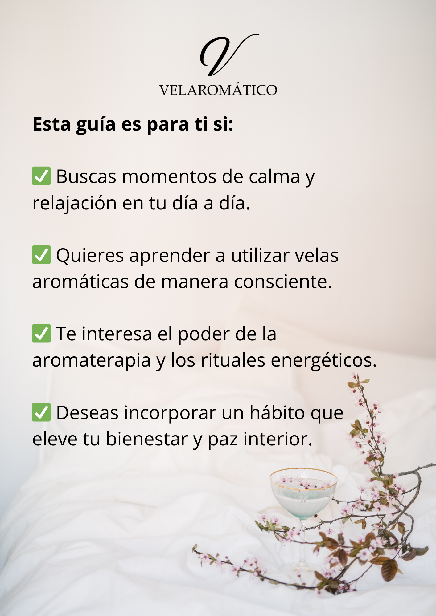 Características Guía Ritual