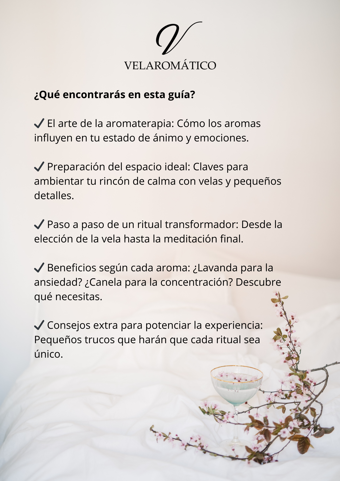Detalles Guía Ritual